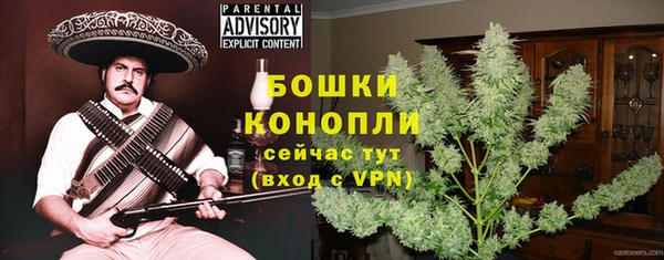 стафф Гусь-Хрустальный