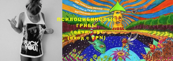 стафф Гусь-Хрустальный
